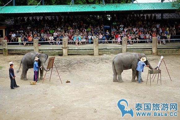 清迈大象公园Maetaeng Elephant Park+竹筏一日游