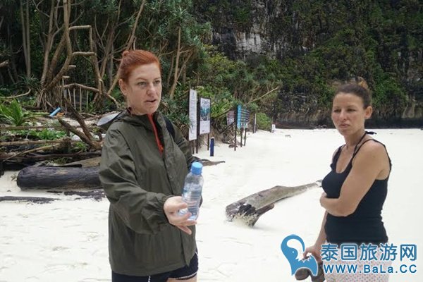 僧帽水母被捲上岸 PP岛禁游客下水