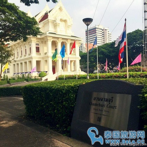 泰国国王在朱拉隆功大学种下的树已成校园靓丽风景线