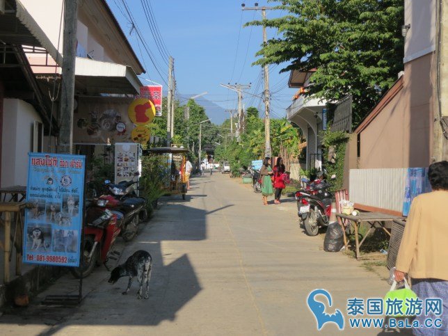 拜县步行街Pai Walking Street 小山城里的缤纷世界