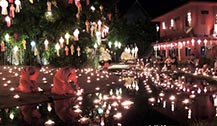 2016泰国水灯节还有吗？会不会取消，还有周日夜市吗？
