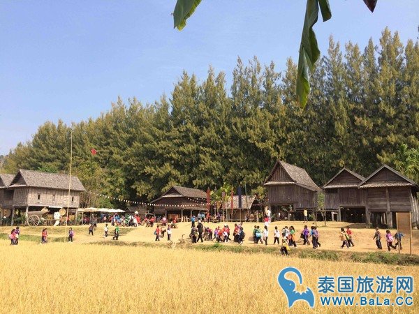 金汤普森农场Jim Thompson Farm 泰国空气最好的欧式农场 一年只开放一个月