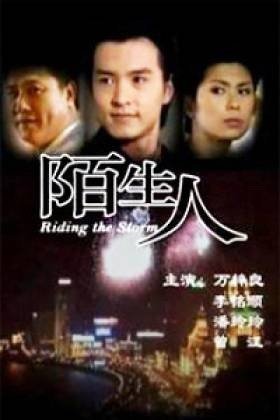 新加坡电视剧陌生人剧情介绍
