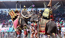 泰国素林大象节取消改为哀悼泰皇表演活动 请游客注意！