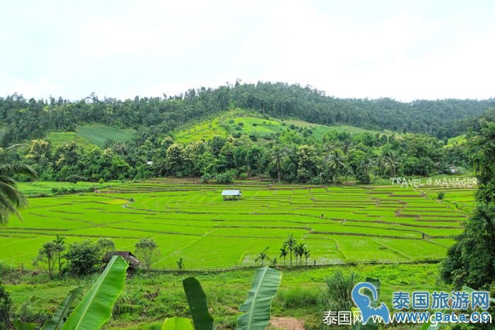 泰国皇家景点-Maelanoi梯田,追寻泰皇足迹