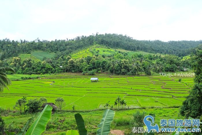 泰国皇家景点-Maelanoi梯田，追寻泰皇足迹