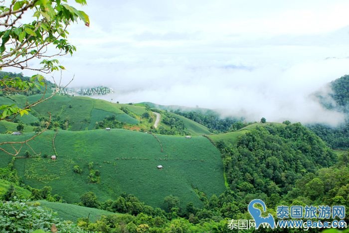 泰国皇家景点-Maelanoi梯田,追寻泰皇足迹