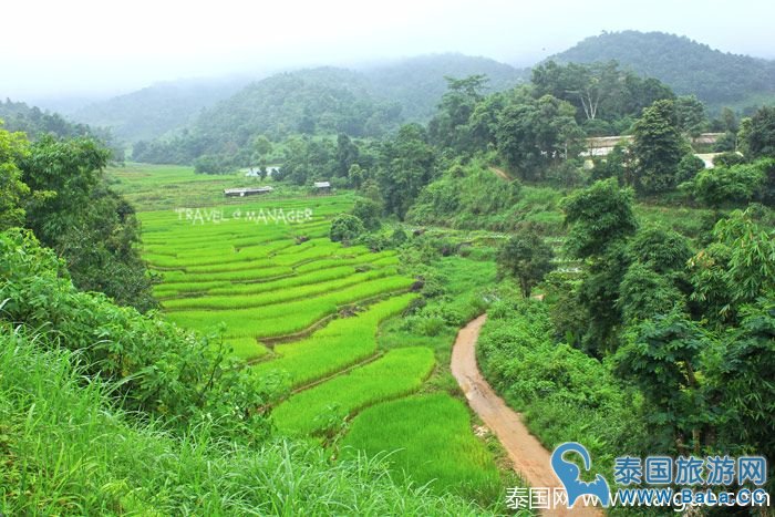 泰国皇家景点-Maelanoi梯田,追寻泰皇足迹