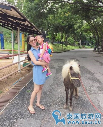 泰国古典美女Aff准备生二胎啦!女儿Peemai可以当姐姐啦!