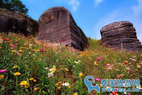 泰北9大皇家计划景点 追寻泰皇足迹