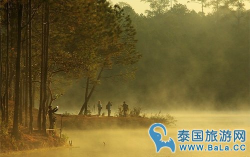 泰北9大皇家计划景点 追寻泰皇足迹