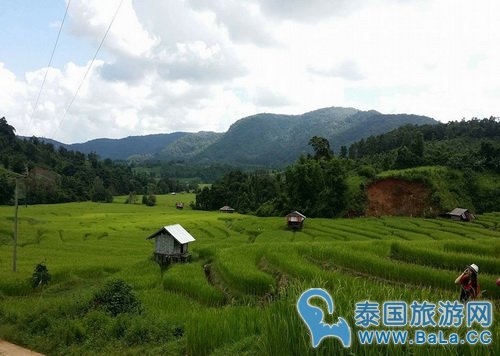 泰北9大皇家计划景点 追寻泰皇足迹