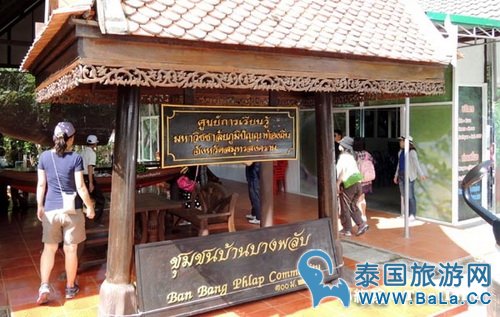 马里奥泰国旅游宣传片的旅游景点在哪?探寻果园绿色新景点