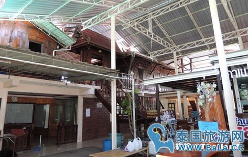 马里奥泰国旅游宣传片的旅游景点在哪?探寻果园绿色新景点