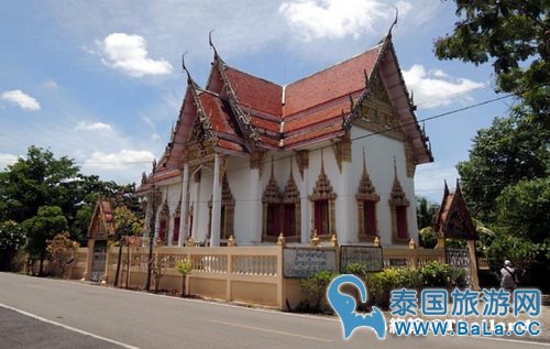 马里奥泰国旅游宣传片的旅游景点在哪?探寻果园绿色新景点