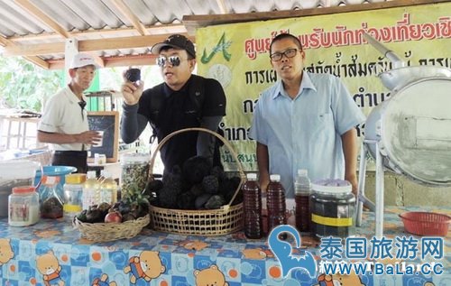 马里奥泰国旅游宣传片的旅游景点在哪?探寻果园绿色新景点