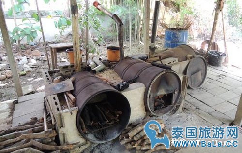 马里奥泰国旅游宣传片的旅游景点在哪?探寻果园绿色新景点