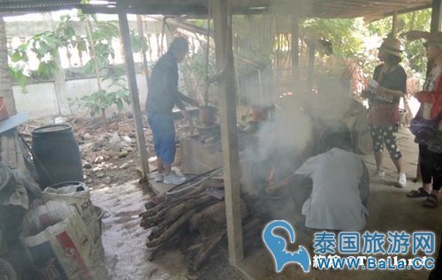 马里奥泰国旅游宣传片的旅游景点在哪?探寻果园绿色新景点