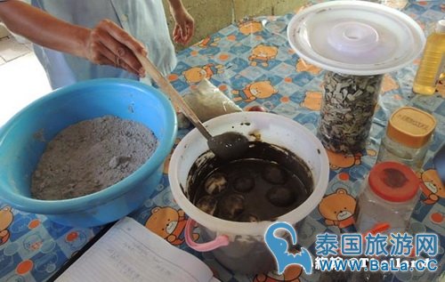 马里奥泰国旅游宣传片的旅游景点在哪?探寻果园绿色新景点