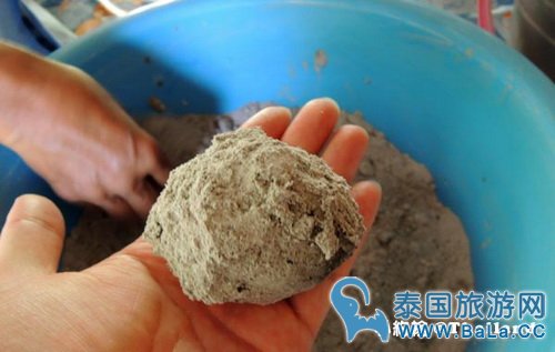马里奥泰国旅游宣传片的旅游景点在哪?探寻果园绿色新景点