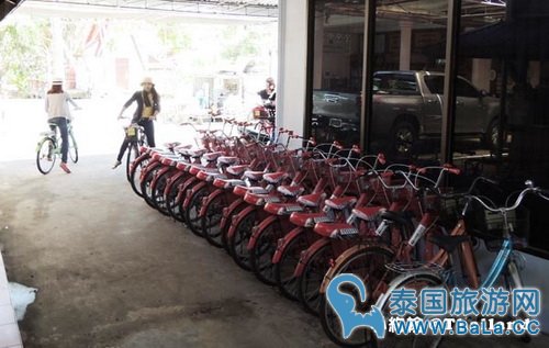 马里奥泰国旅游宣传片的旅游景点在哪?探寻果园绿色新景点