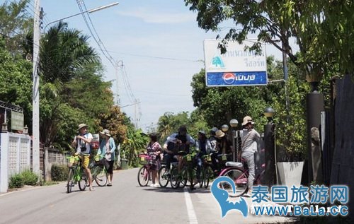 马里奥泰国旅游宣传片的旅游景点在哪?探寻果园绿色新景点