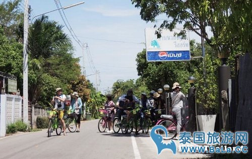 马里奥泰国旅游宣传片的旅游景点在哪？探寻果园绿色新景点