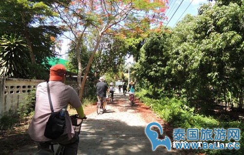 马里奥泰国旅游宣传片的旅游景点在哪?探寻果园绿色新景点