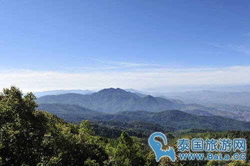 清迈因他农山最近冷吗?21日引来霜冻!