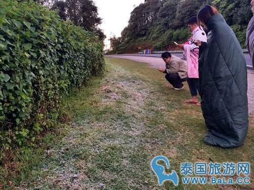 清迈因他农山最近冷吗?21日引来霜冻!