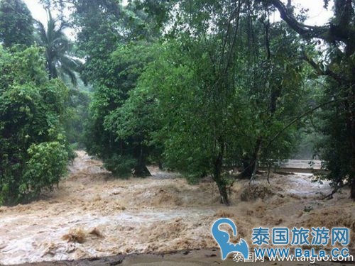 泰国南部暴雨被列为灾区 南部旅游胜地也受影响