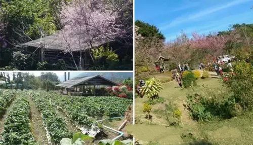 清迈景点大全
