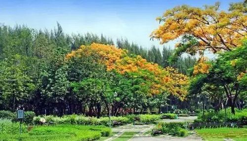 清迈景点大全