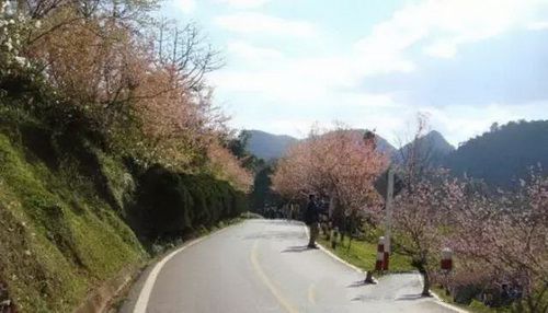 清迈景点大全