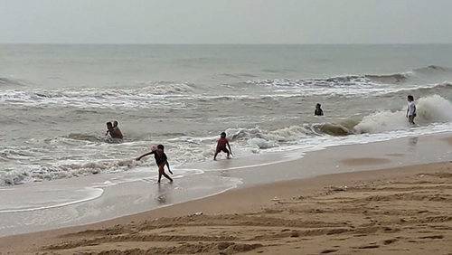 泰国碧差汶海滩风浪强劲 现剧毒僧帽水母