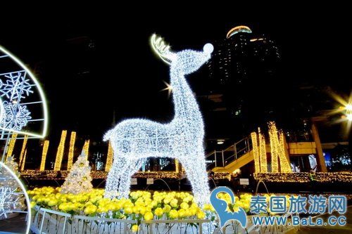 曼谷Central World圣诞灯 美哭！
