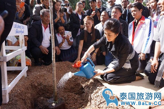 泰国前总理英拉前往东北部同民众植树做功德