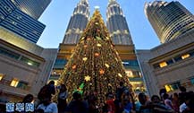 吉隆坡双子塔商场下的巨型圣诞树引市民纷纷自拍合影