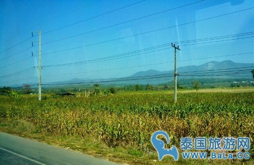 清迈汽车站到清莱