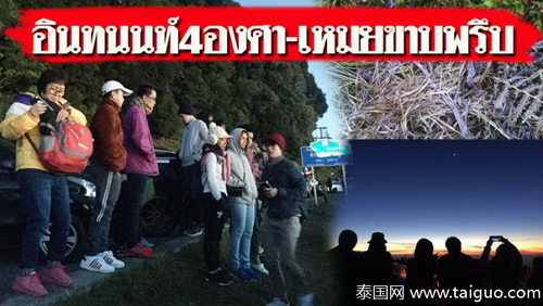 清迈因他农山游客爆满 旅游大巴禁止上山
