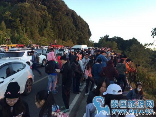 清迈因他农山游客爆满 旅游大巴禁止上山