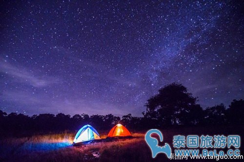 泰国跨年去乌汶府看紫色花海和漫天繁星