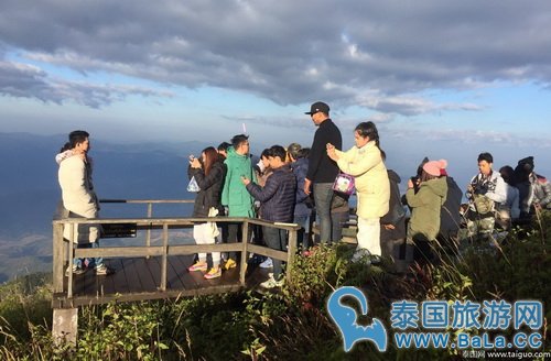 清迈因他农山元旦新年期间温度低至6℃ 依旧爆满