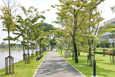 新年期间泰国148个公园免费开放