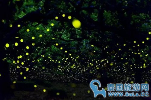巴沙美景和美食 足以让人为之流连忘返