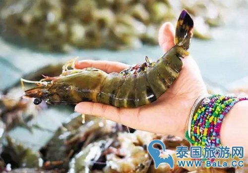 巴沙美景和美食 足以让人为之流连忘返