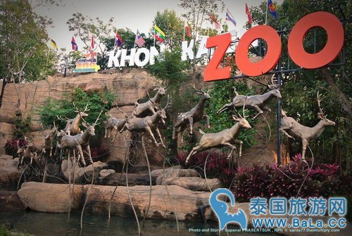泰国7大动物园14-15号免费对儿童开放 