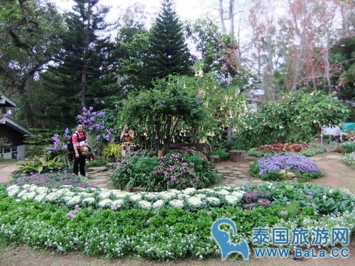 清迈蒲屏皇宫怎么玩?带你探访清迈最美花园行宫