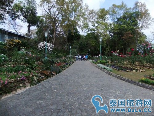 清迈蒲屏皇宫怎么玩?带你探访清迈最美花园行宫