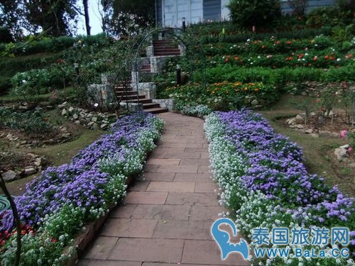 清迈蒲屏皇宫怎么玩?带你探访清迈最美花园行宫